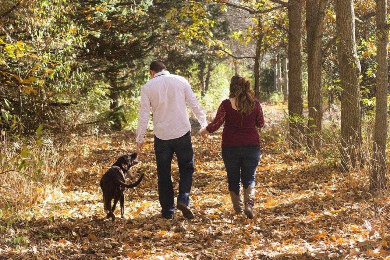 Mas Els Plans La Casa Pensada Para Perros Que Viajan Con Sus Humanos Olot Zewnętrze zdjęcie