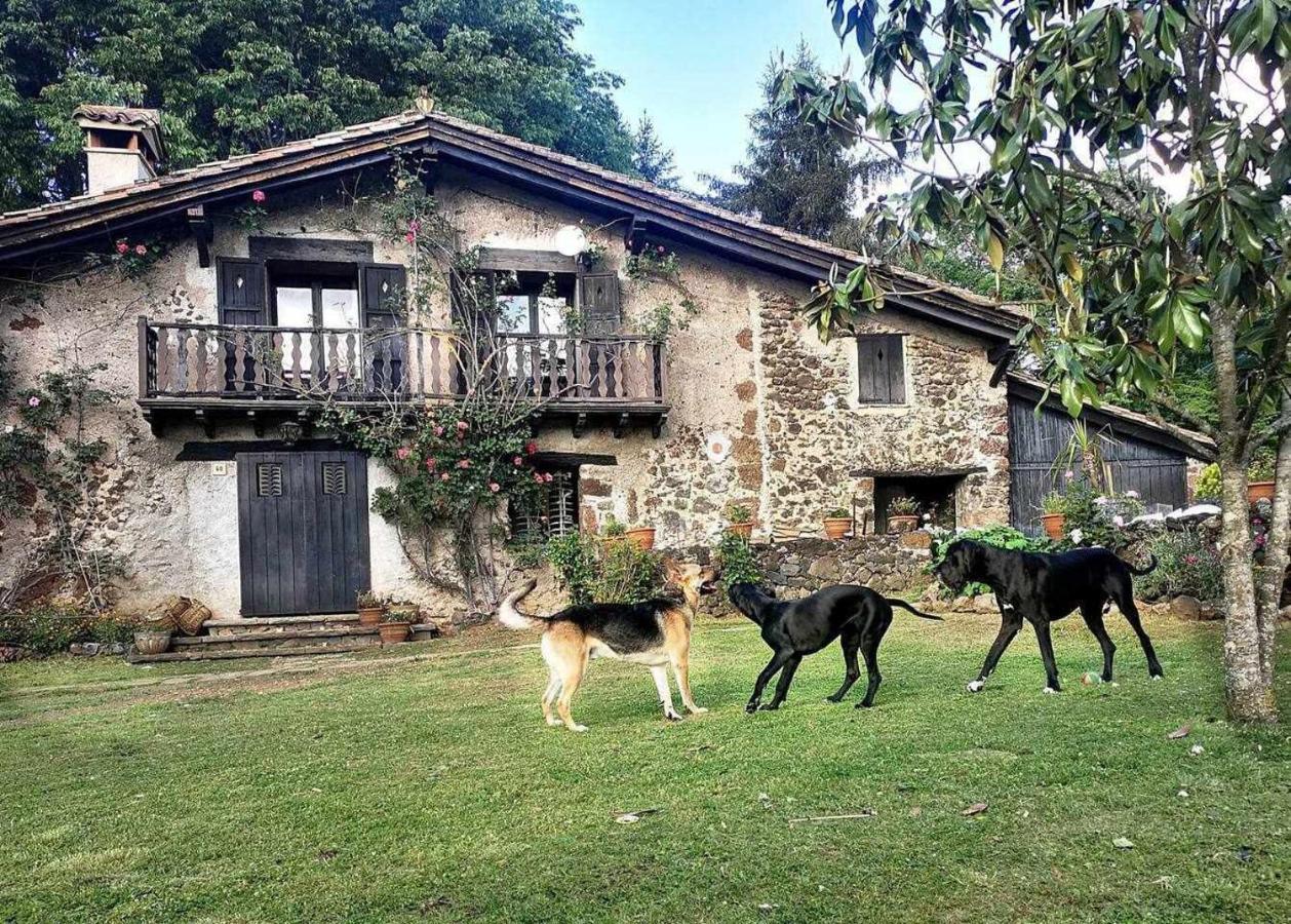 Mas Els Plans La Casa Pensada Para Perros Que Viajan Con Sus Humanos Olot Zewnętrze zdjęcie