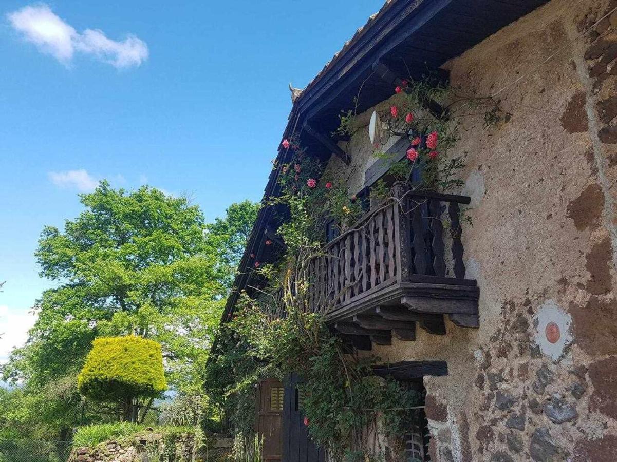 Mas Els Plans La Casa Pensada Para Perros Que Viajan Con Sus Humanos Olot Zewnętrze zdjęcie
