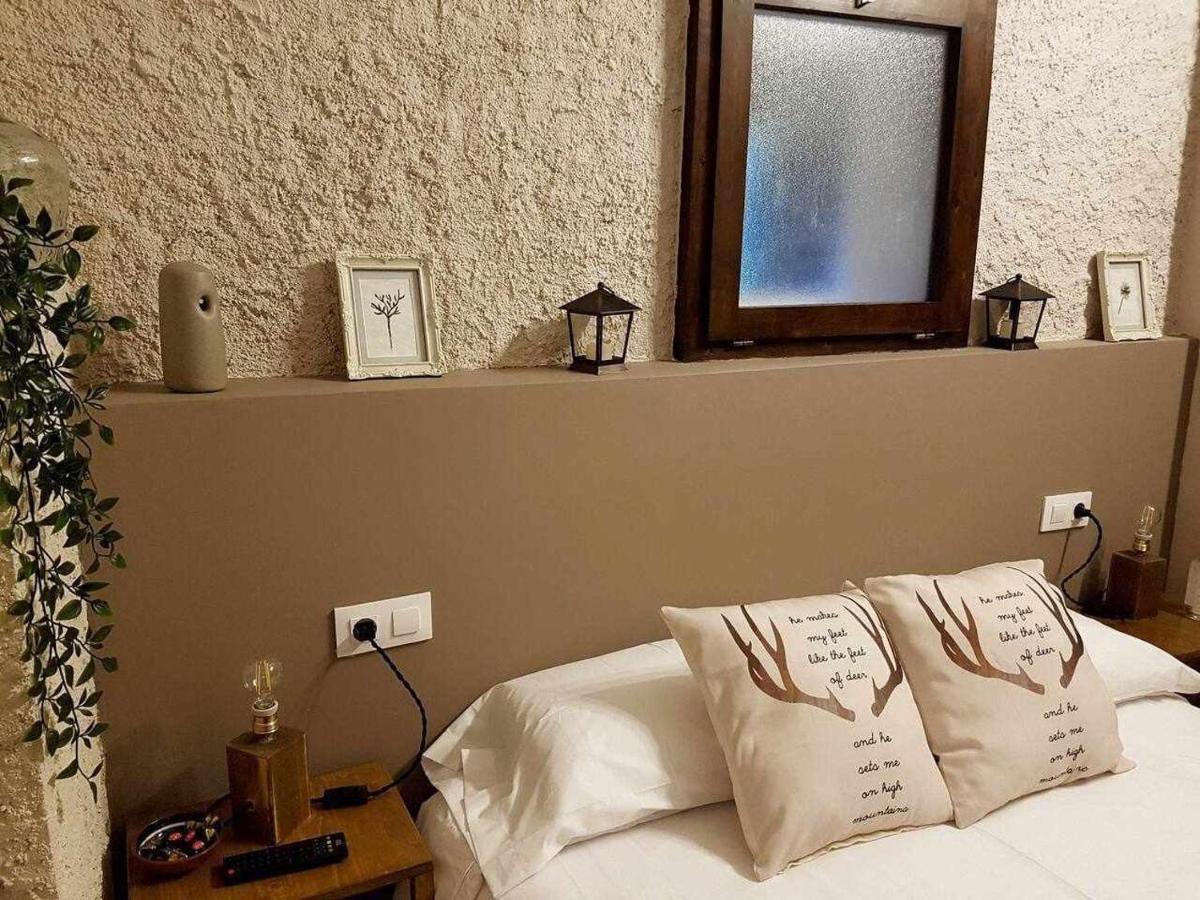 Mas Els Plans La Casa Pensada Para Perros Que Viajan Con Sus Humanos Olot Zewnętrze zdjęcie
