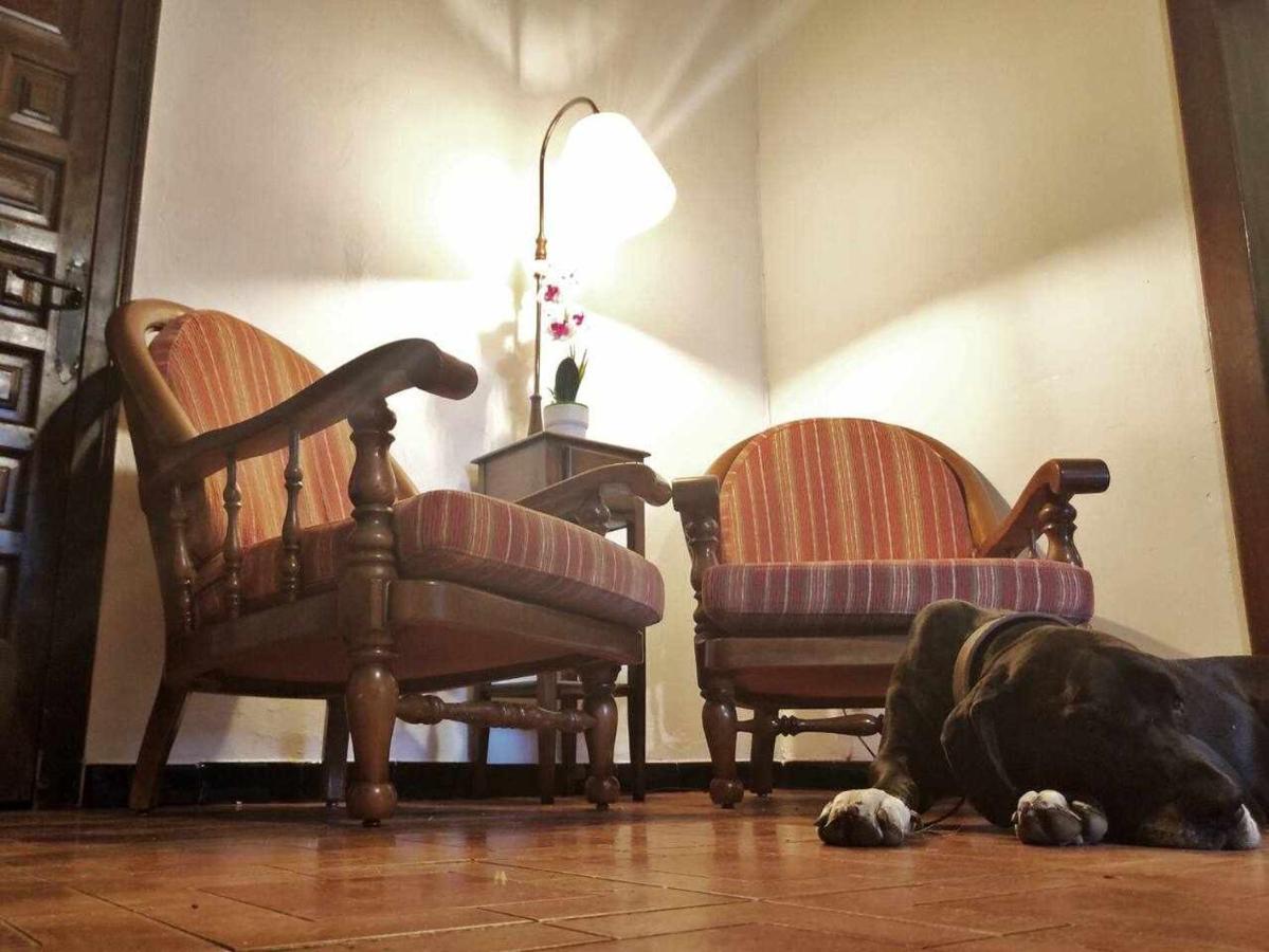Mas Els Plans La Casa Pensada Para Perros Que Viajan Con Sus Humanos Olot Zewnętrze zdjęcie