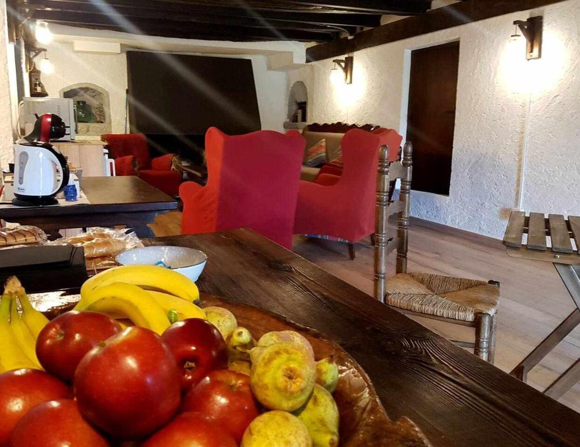 Mas Els Plans La Casa Pensada Para Perros Que Viajan Con Sus Humanos Olot Zewnętrze zdjęcie