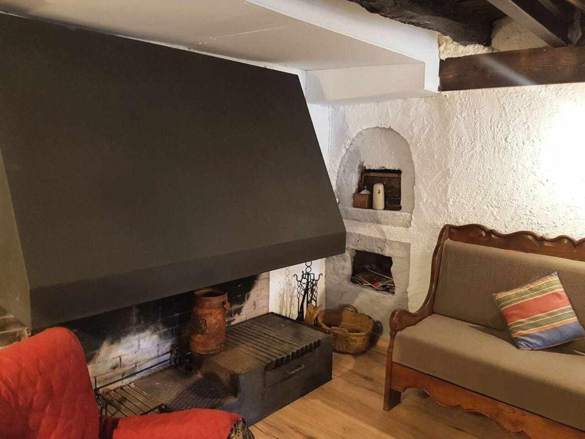 Mas Els Plans La Casa Pensada Para Perros Que Viajan Con Sus Humanos Olot Zewnętrze zdjęcie