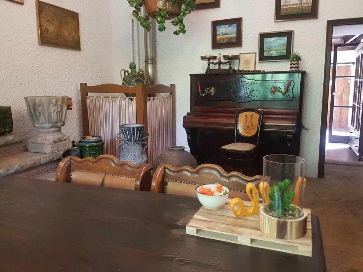 Mas Els Plans La Casa Pensada Para Perros Que Viajan Con Sus Humanos Olot Zewnętrze zdjęcie