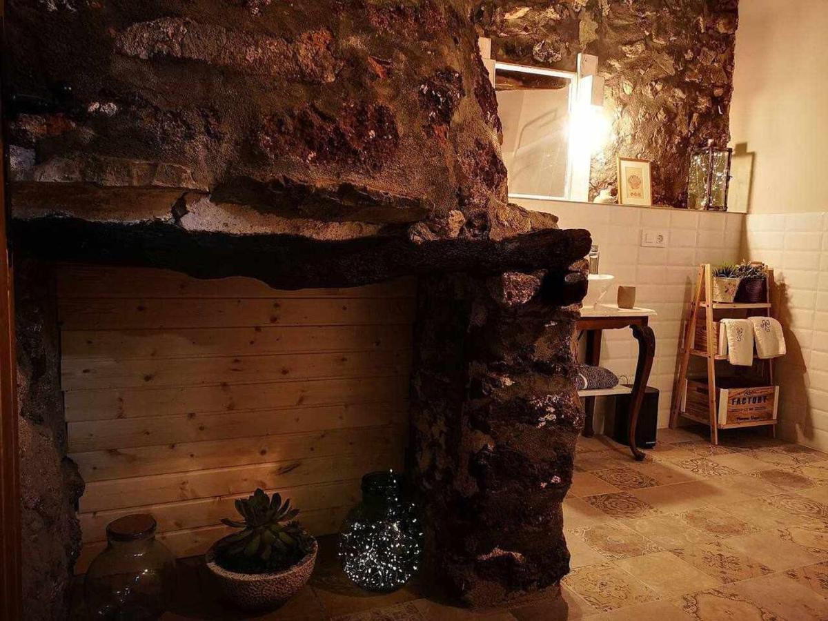 Mas Els Plans La Casa Pensada Para Perros Que Viajan Con Sus Humanos Olot Zewnętrze zdjęcie