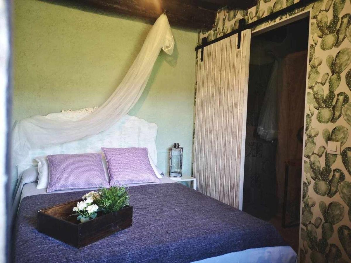 Mas Els Plans La Casa Pensada Para Perros Que Viajan Con Sus Humanos Olot Zewnętrze zdjęcie