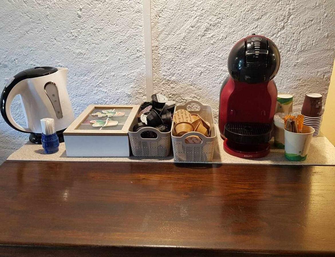 Mas Els Plans La Casa Pensada Para Perros Que Viajan Con Sus Humanos Olot Zewnętrze zdjęcie